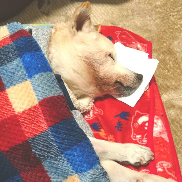 87af63a1 7c9e 4101 9f30 a5d5e0849a7e 1543798463193