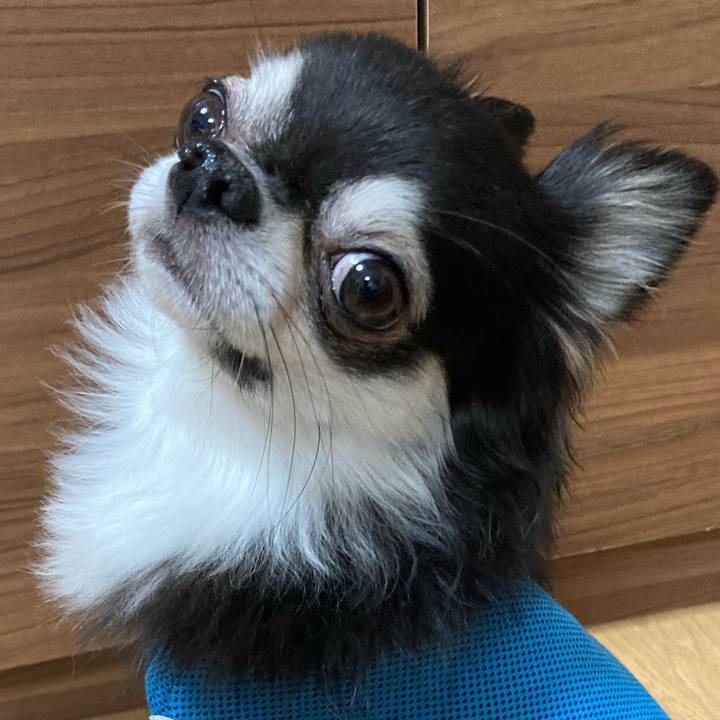 87af9e1a 36d1 4685 ad89 7309cd936381 1694964665588