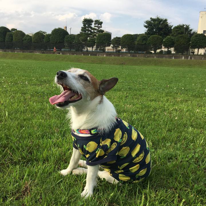 87afa874 6cee 4308 b971 d63e0bd038a8 1626132014026