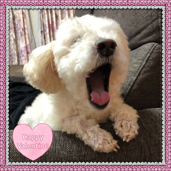 87afbc5a fc72 4282 89c3 a13e945d207f 1550156372433