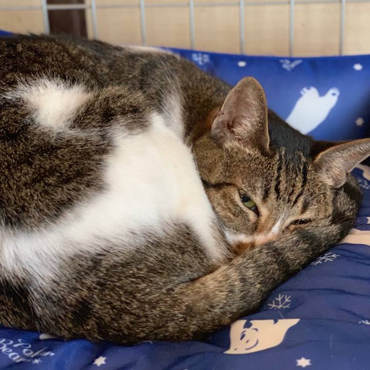 87affbad e66a 444b b2ad d53f99a27ff6 1566258516140