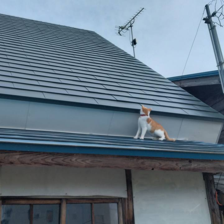 87b01745 0041 47c4 8532 cab9f6338171 1751064639859