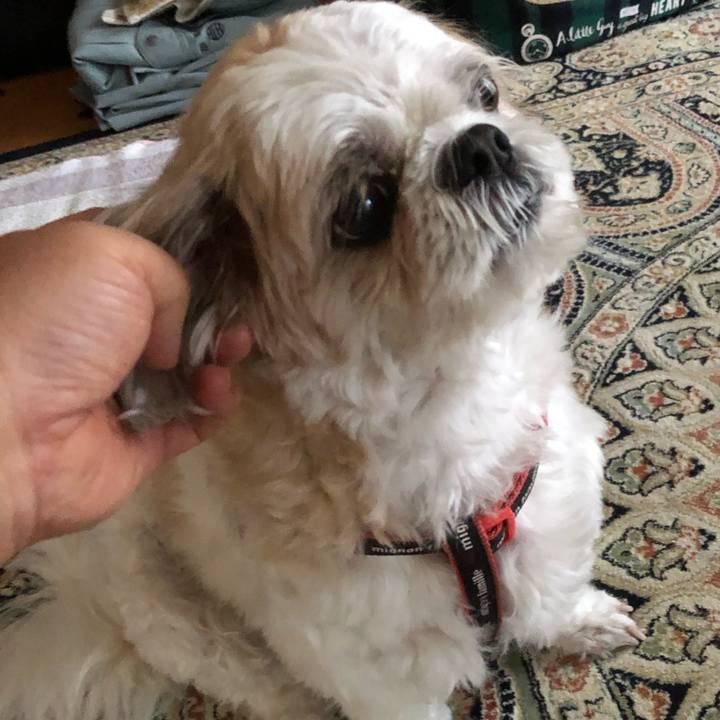 87b018df 2a9c 42fc 89a4 b177a272903c 1602020905375