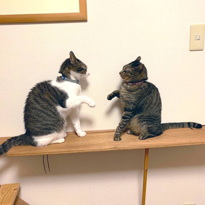 87b01bba 9e22 4cf1 9242 23191ed585c4 1572566504506