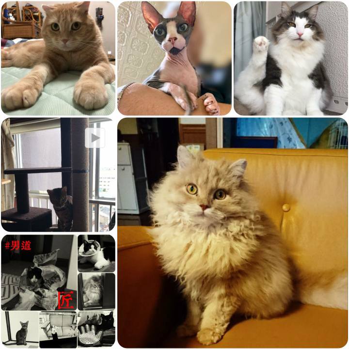 87b031a9 d926 41bd ad28 6618d085d0cc 1568981977671