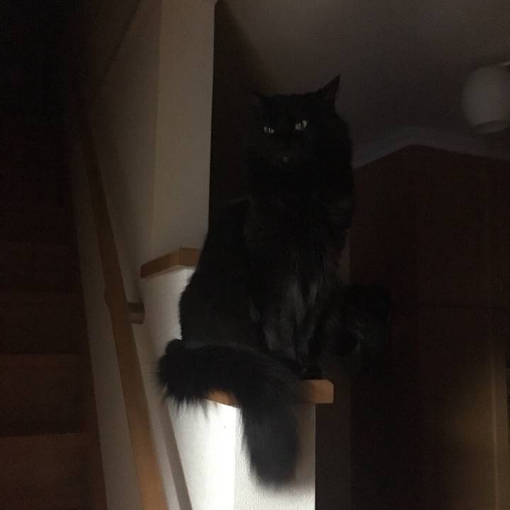 87b047b7 b478 4dc1 b9cb 2725c7c63642 1522417215127