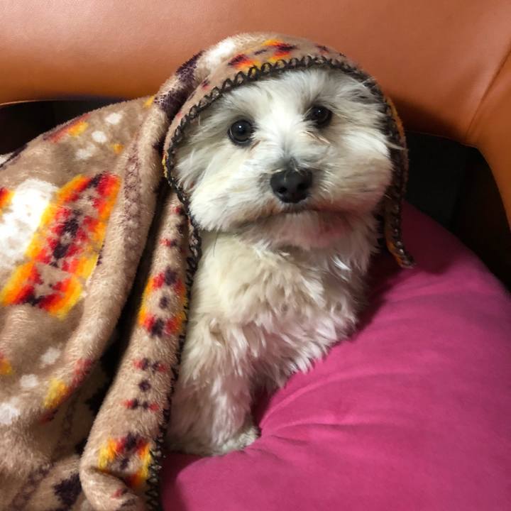 87b052e4 8f76 4f8c 9b67 70f2ba01101c 1512808978295