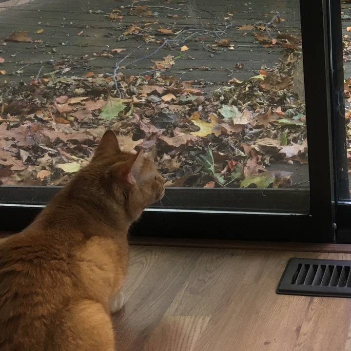 87b05bb6 dd4b 43eb 8110 955ca16e2b91 1632794182148