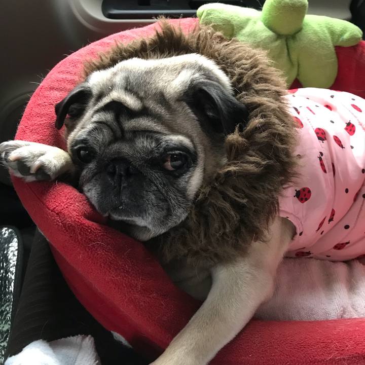 87b06fb4 1c73 45f3 9eb7 45b6840e06dd 1518000694011