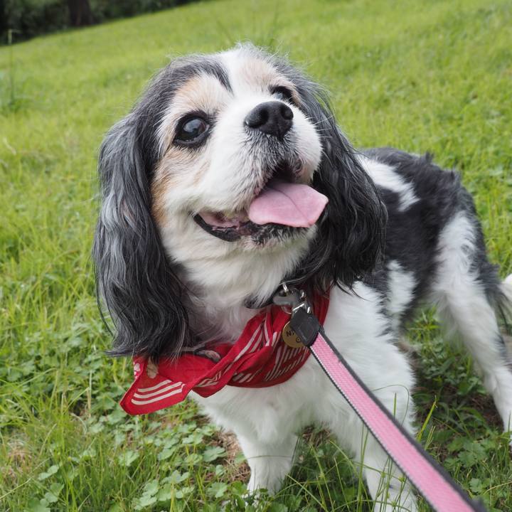 87b0b49e 890f 4e1c b915 73317d963ca8 1569120487624