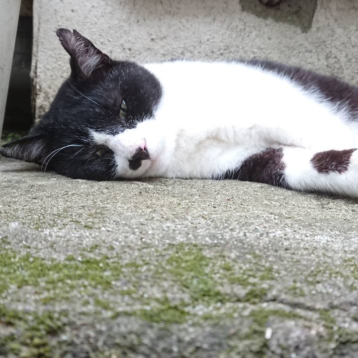 87b0ca90 69b6 495e bea6 4b9808cb1e77 1597052341920