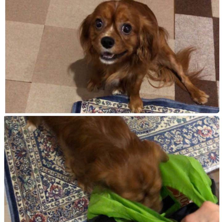 87b1119d a759 4303 b7bd 8df8027cbef7 1564092610144