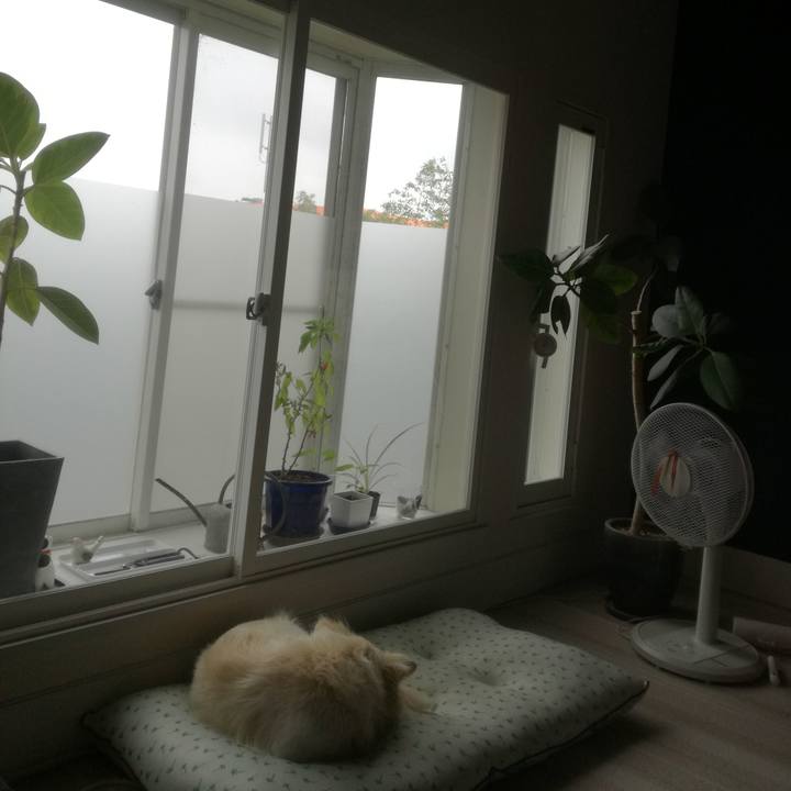 87b11bac b84f 4461 bdcf bd9791cfab2d 1508201605364