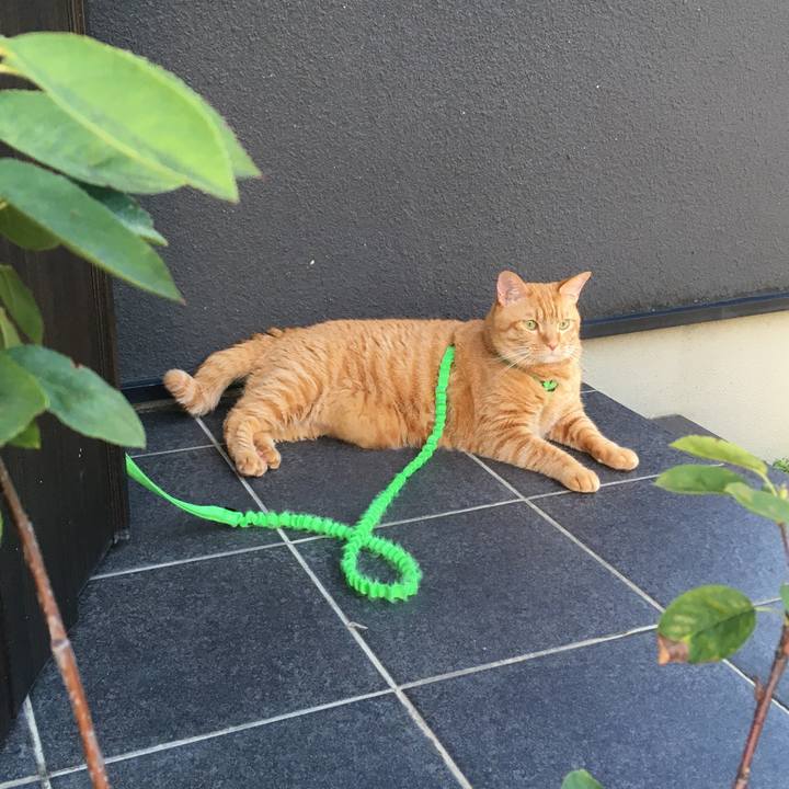 87b14d66 6bd0 4f58 9687 284574704f8b 1601681578857