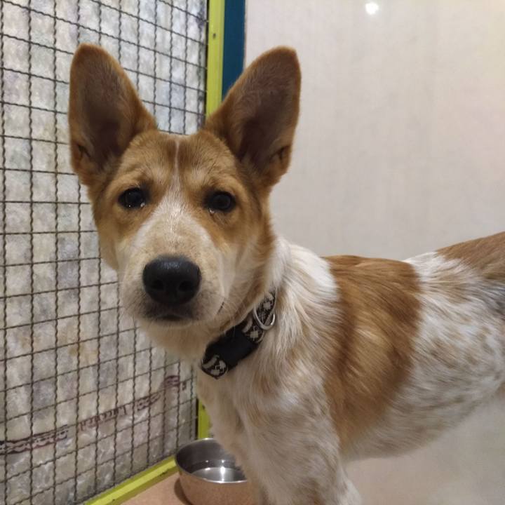 87b16199 f13e 4131 a55a e6af38a69f3a 1543147556673