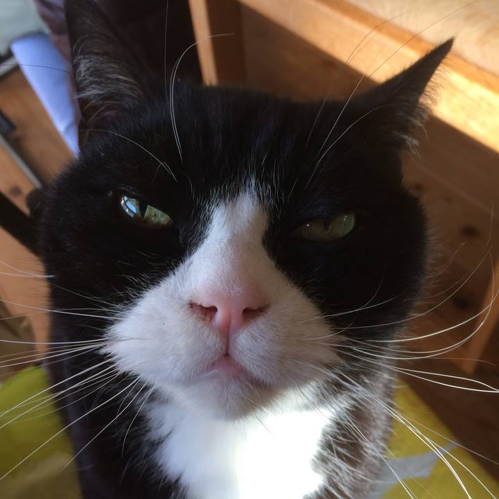 87b1672b 8798 459f 9dee 19681d2ad758 1518221598592