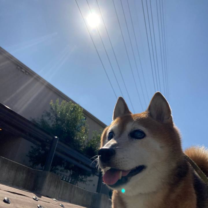 87b196f1 8bc6 41e4 800f 2079ce109c22 1697082664018