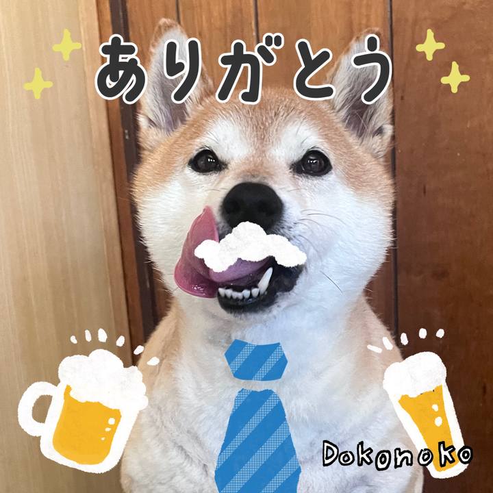 87b1b3bc fa0b 49ad b374 c1ab2bc4fd25 1717820968855