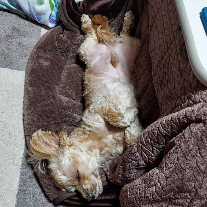 87b1b7b6 25c8 460e 9c80 53b8c901fa24 1644326776256