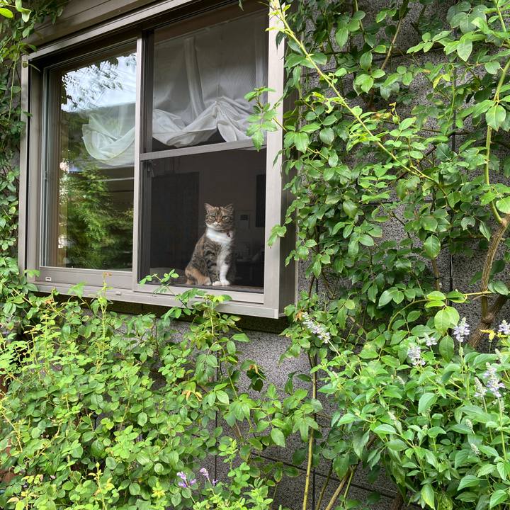 87b1bb46 f85a 4534 b825 d2277689efa1 1758585545734