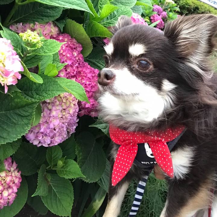 87b2059d 494d 49e4 97d8 1541220b7a8e 1559177517749