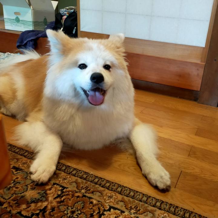 87b20a33 ecef 41b2 9925 15c01f87bec1 1628660222577