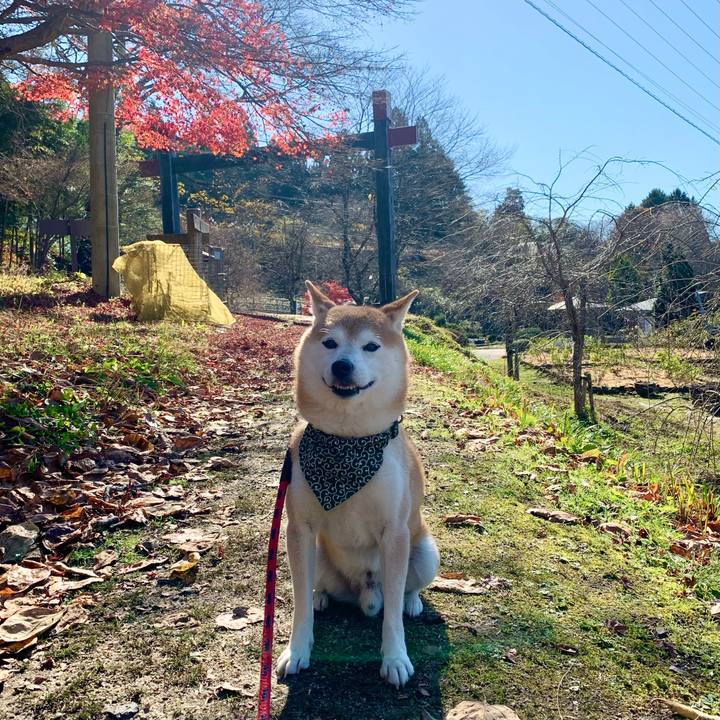 87b21ebf 8b03 446d 927f 8ad892f00c55 1669538638662