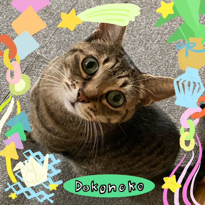 87b2572b 19b5 4bc9 b9f2 6988482f651c 1755515775322