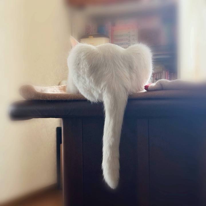 87b25dfa 6bec 4dee b999 5dd68c1d38d2 1748471908443