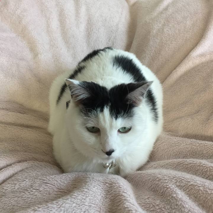 87b26a63 a33f 44a3 abd7 bac881e010d1 1516836071438