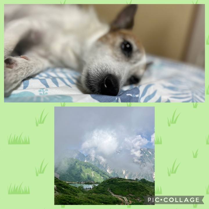 87b28dda 52a6 4d14 9ed0 c087e882e1a9 1690674115890