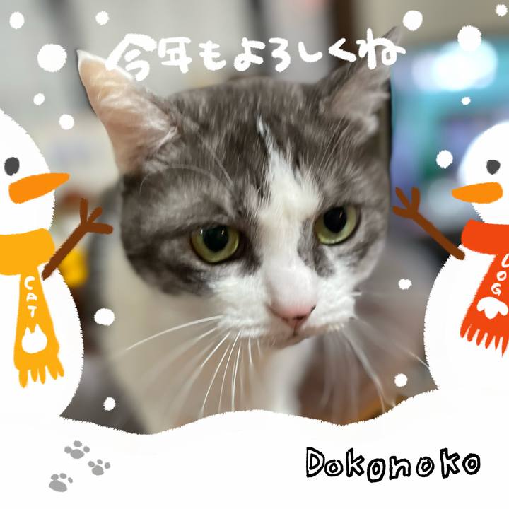 87b2c273 5ea7 43a1 aff5 8f6dec472884 1704157937278