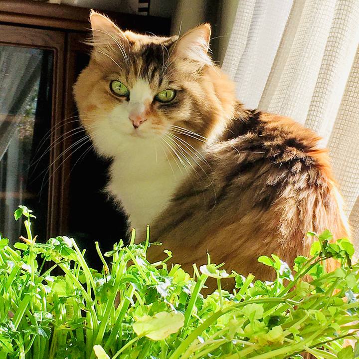 87b2c716 e780 4edb a05a 74f4ec2eae64 1579505507044