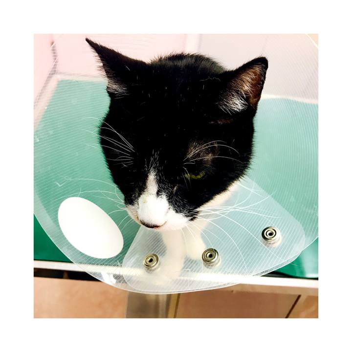 87b2ee34 68a9 451f a557 67e4070753b7 1578360103885