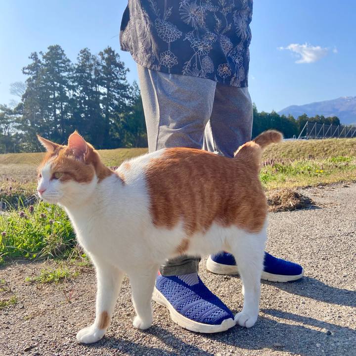 87b36d7b 2a1a 4a0b 893f e3db87c02439 1680517748753