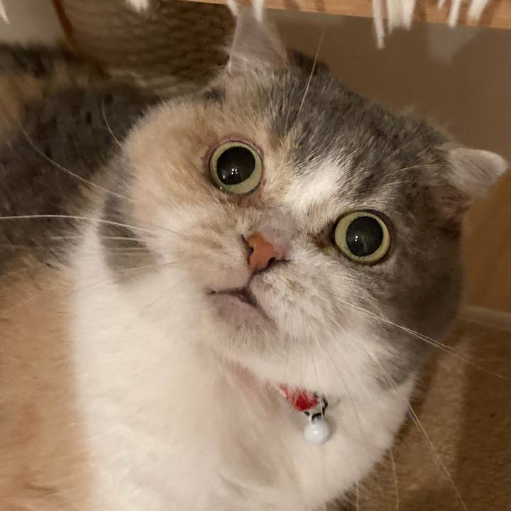 87b37163 a198 404f 8d9e a4a407298c24 1705661503035