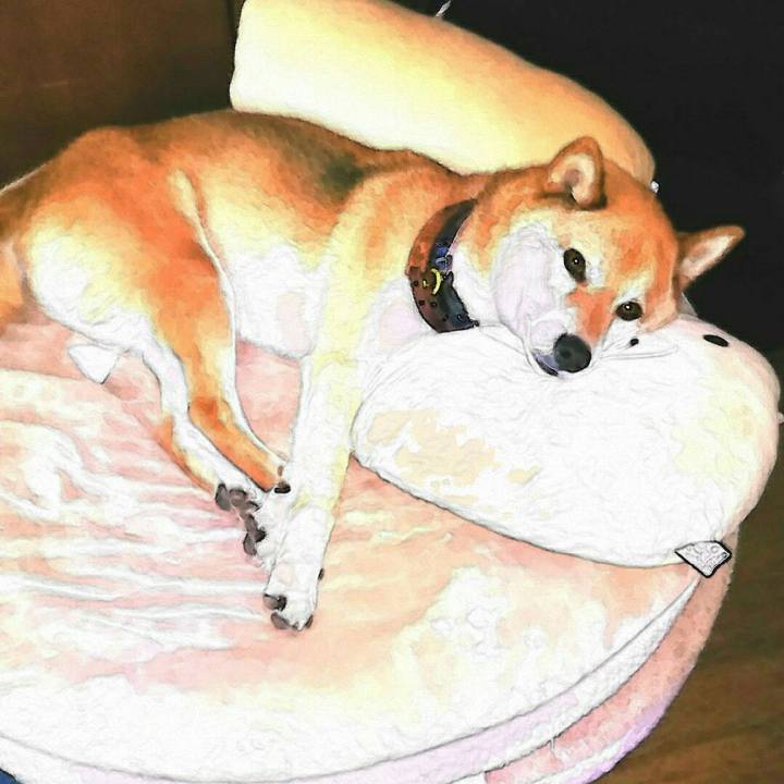 87b3953d 6466 4a6c a7c9 34a98161358e 1562737052514