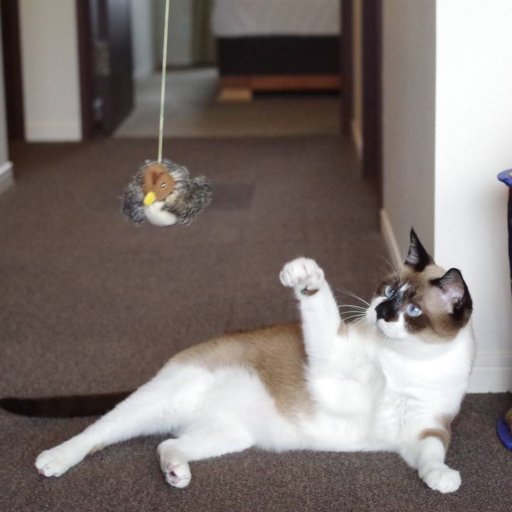 87b3a217 a2c0 4965 b493 60ea2f0106f2 1546769939094