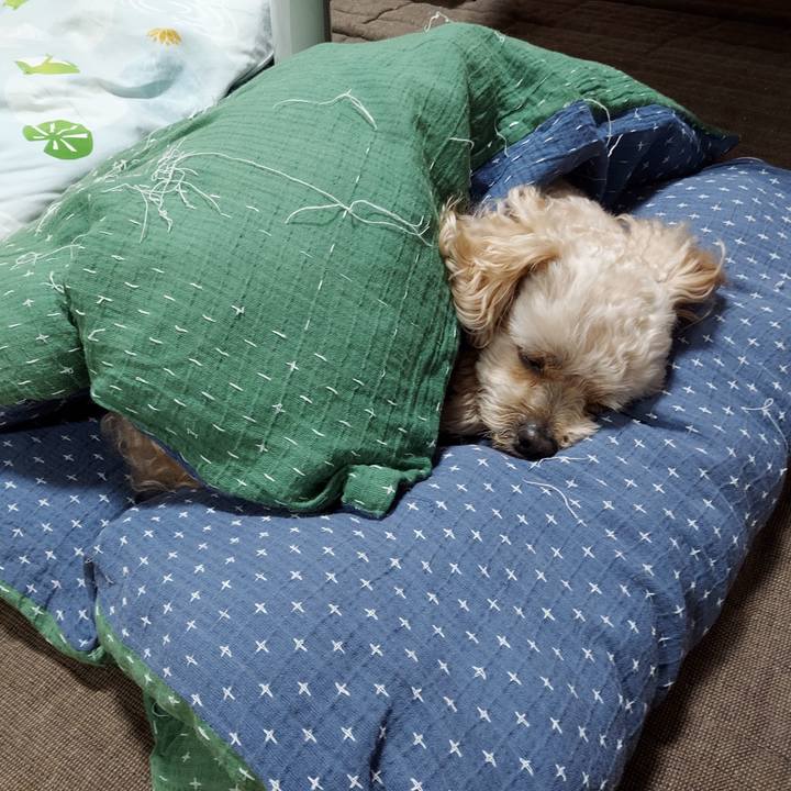 87b3b157 a468 4800 9ed0 ef22d39db17c 1625661459561