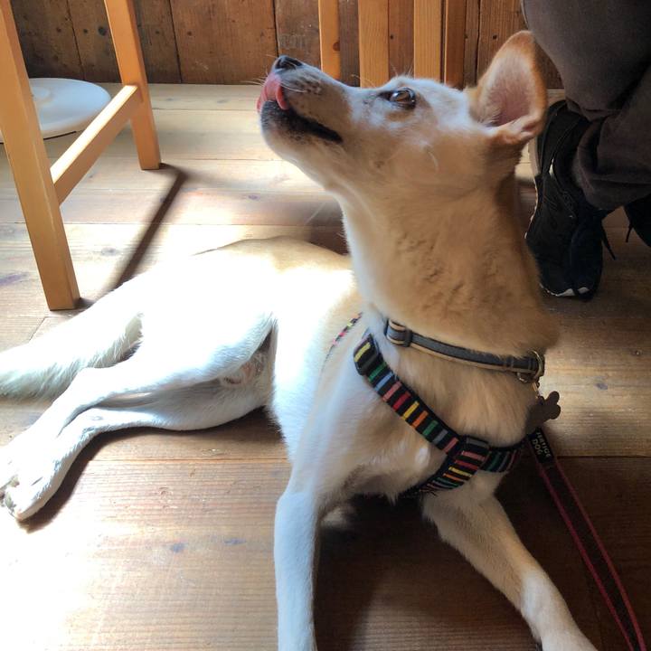 87b3daab 2be5 4473 8254 53f42546c863 1629554374278