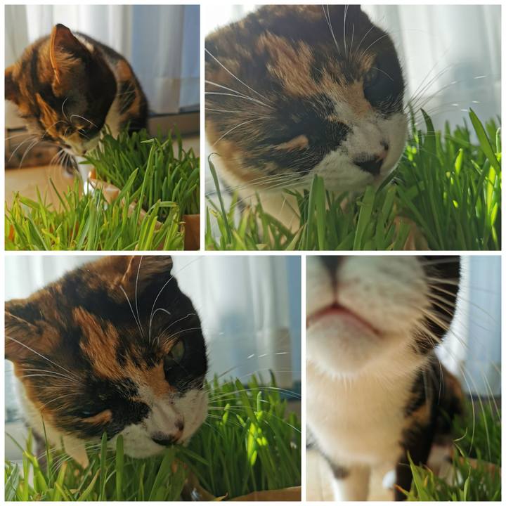 87b3df4c c277 4673 8515 332cbb4f2e61 1635997925777