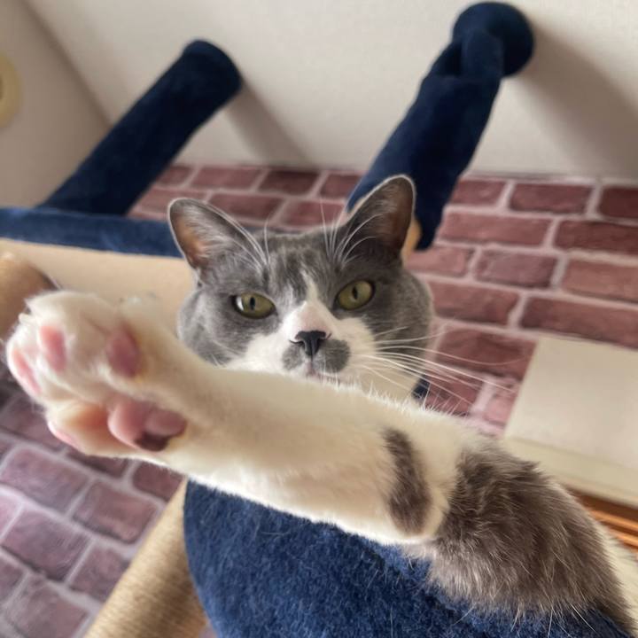 87b3f279 c9fc 46ed be60 a1d2f78b5adc 1738121644861