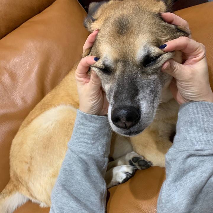 87b3f7b9 b078 4db2 828f 2c878d102267 1548754264449