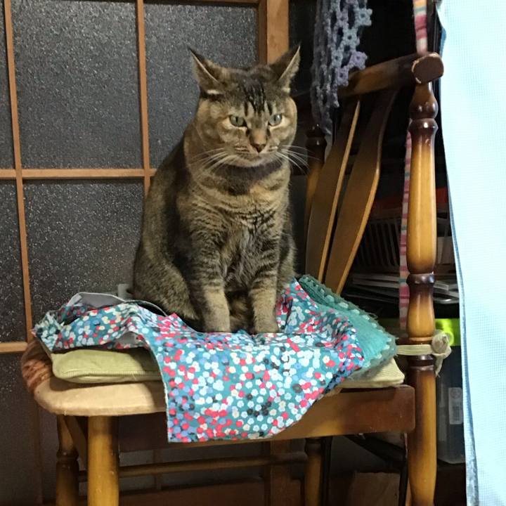 87b403d9 be5e 4a47 899d 7197c40c7bd8 1732180467473