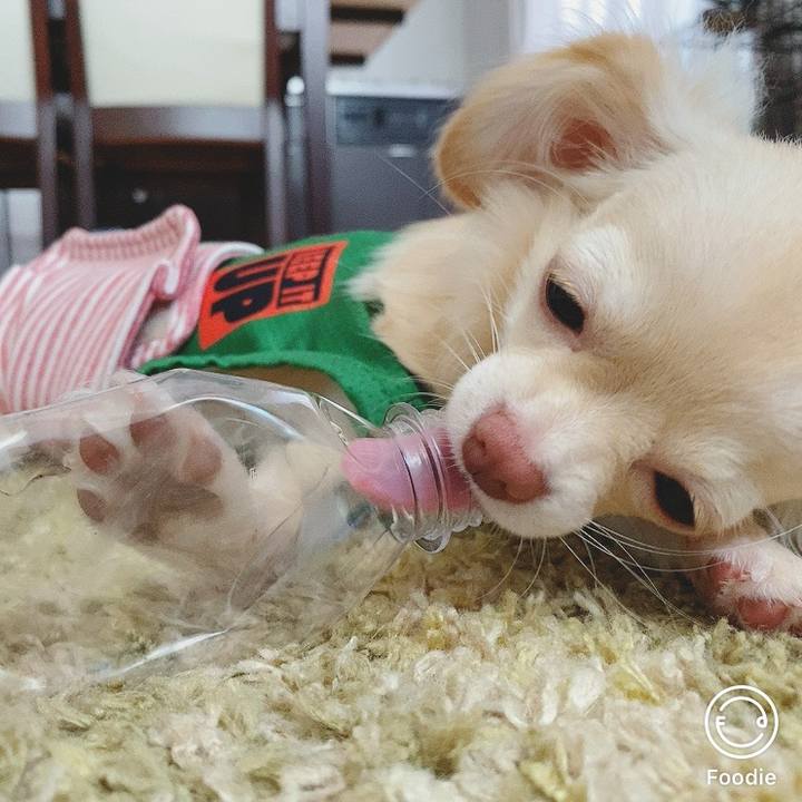 87b41f3c 648e 4f40 a09e 73ac28fda345 1599112917351