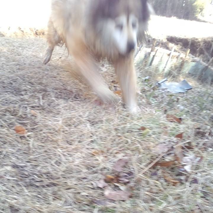 87b4546b c9ea 4a2b 8f96 e10f98e36f6a 1604799821100