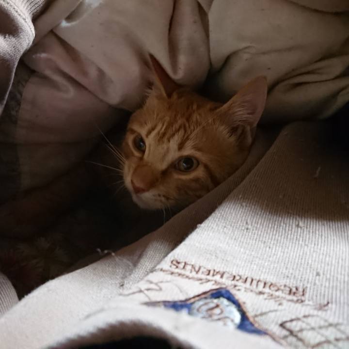 87b46917 c7c2 4946 a5bb 039d331791c6 1644354070176