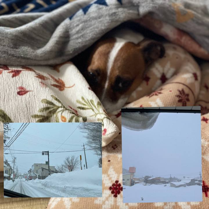 87b47f70 c580 430f 87dd 17a10050c8f9 1642053186035