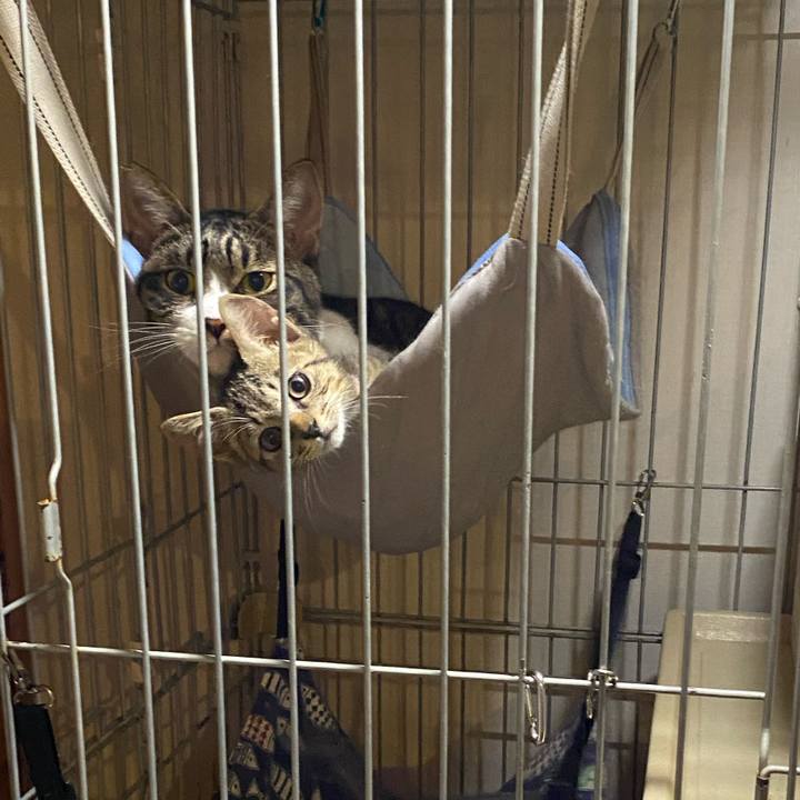 87b481c0 e63c 43fe 94a0 491da30d19e3 1601459998047