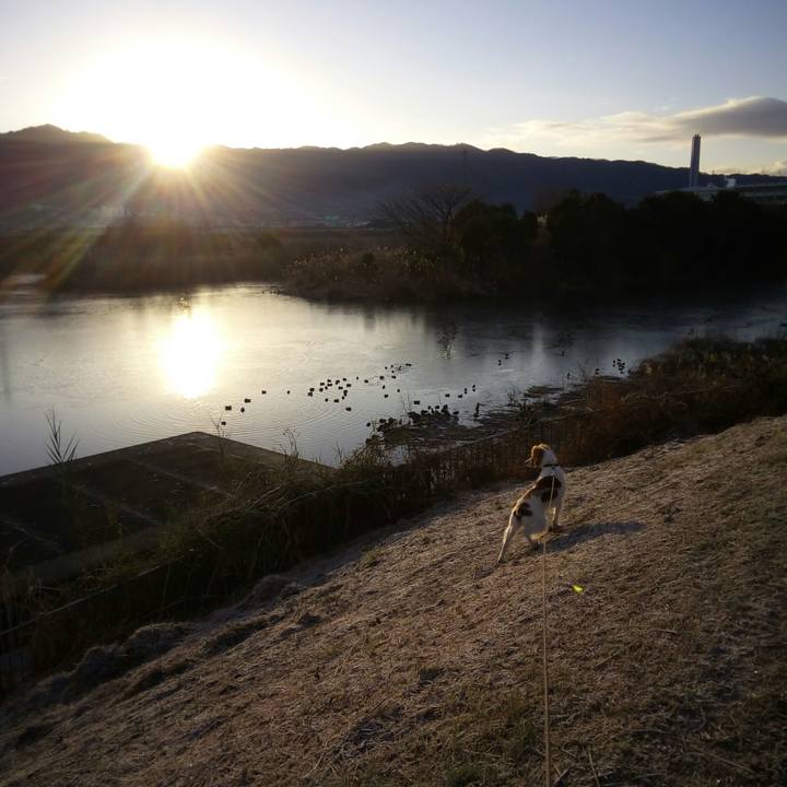 87b4bd53 70f7 4831 9815 55bccbed1219 1515025093279